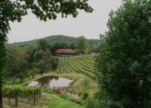 The Vineyard at High Holly wedding venues with lodging in North Carolina